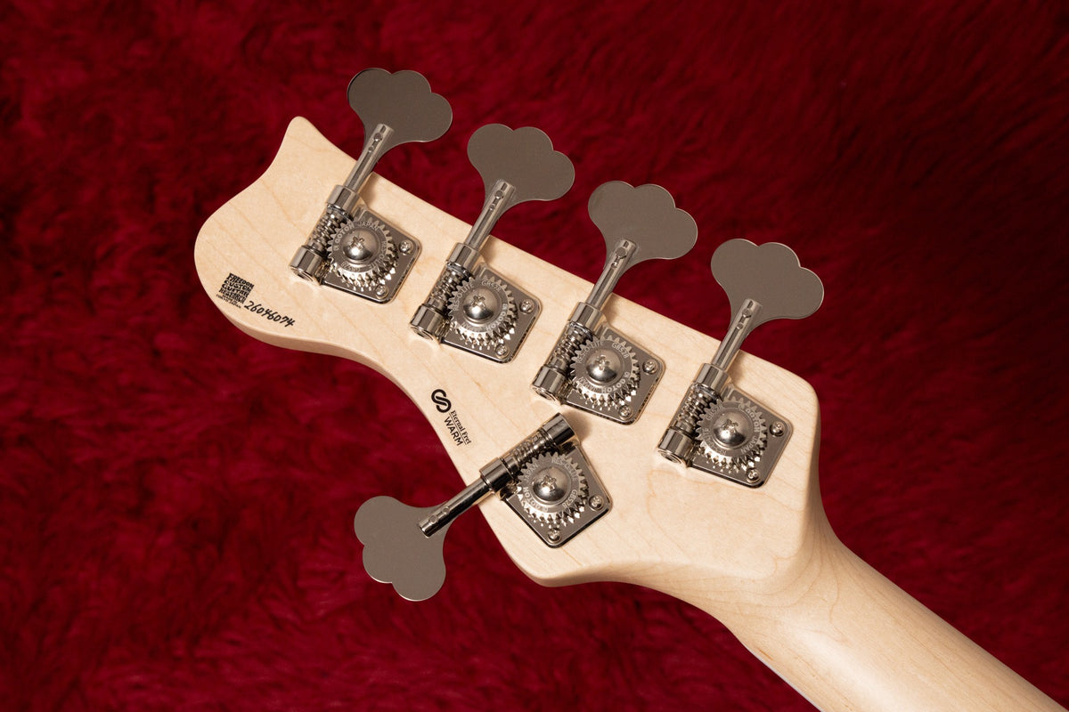 【new】Freedom Custom Guitar Research / C.S. Anthra 5st. Active N 4.030kg #26046074【GIB Yokohama】