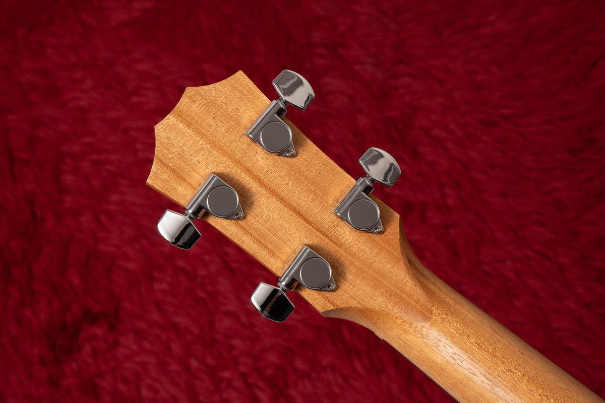 【new】Taylor / GS Mini-e Koa Bass Koa 1.740kg #2203056268【GIB Yokohama】