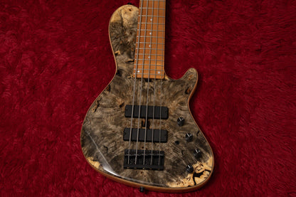 【new】Sadowsky / CS24 SC5 Ash Burl/Natural Transparent High Polish 3.627kg #J000402-26【GIB Yokohama】
