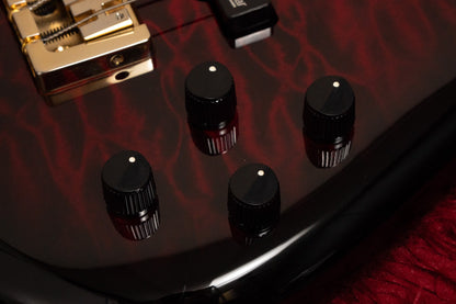 【used】Spector / Icon NS-2 Bolt-On 4 Black Cherry Gloss 2025 3.445kg #CI25060026【GIB Yokohama】