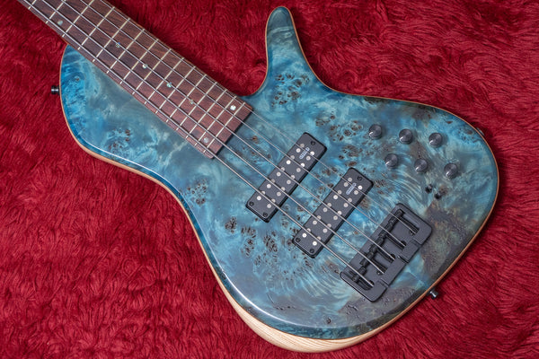 【new】Capurso Guitars / Georgius Deluxe 5st 3.910kg【GIB Yokohama】
