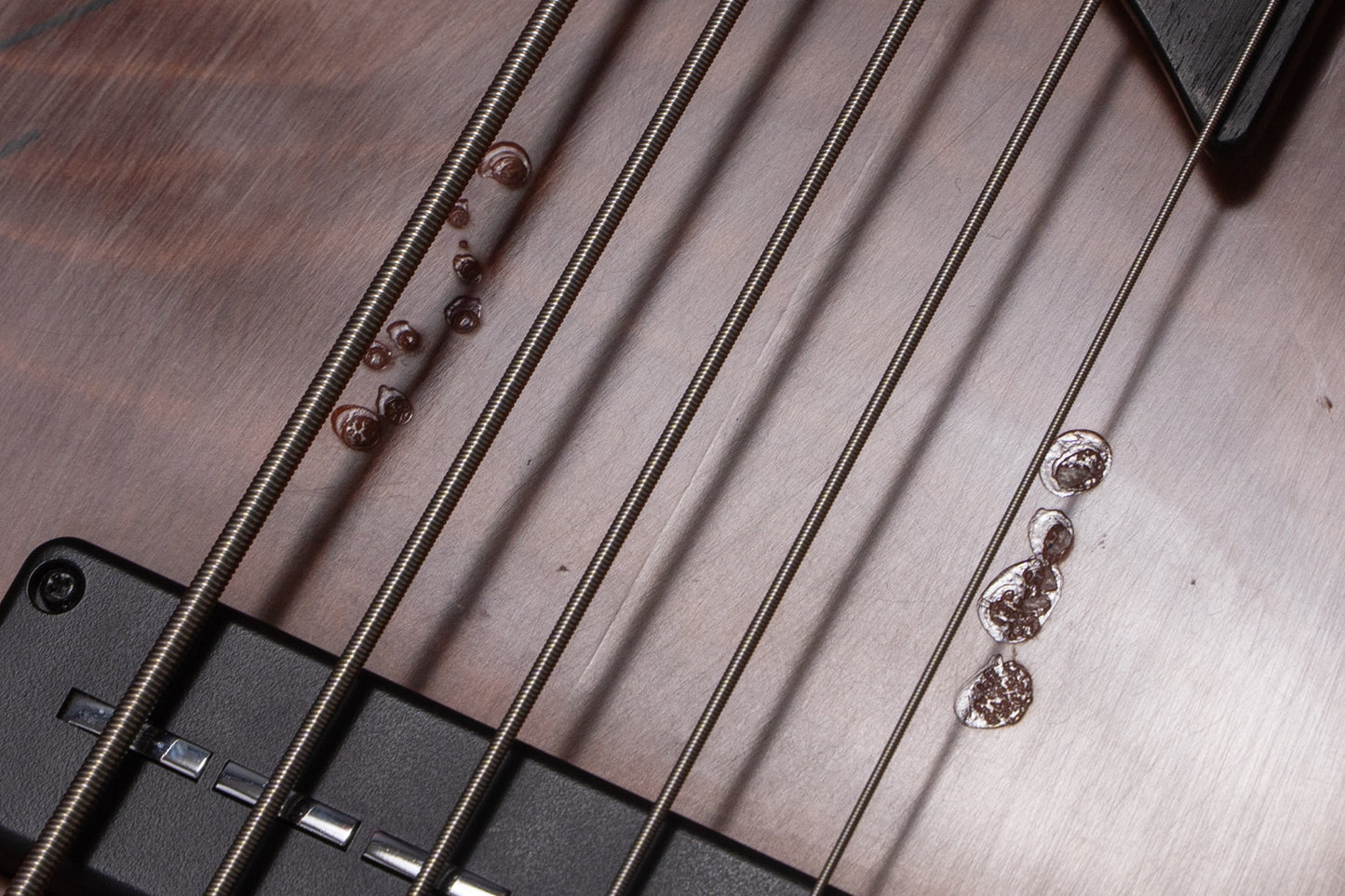 【used】Cortex Bass / Napoleon Deluxe 5 Fretless 4.260kg #15716【GIB Yokohama】