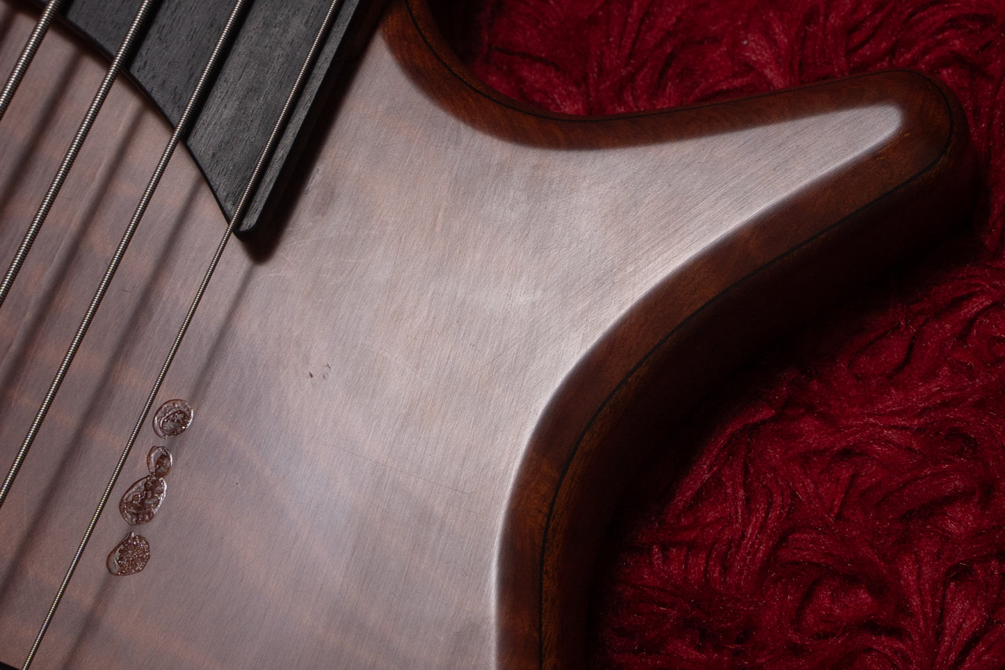【used】Cortex Bass / Napoleon Deluxe 5 Fretless 4.260kg #15716【GIB Yokohama】