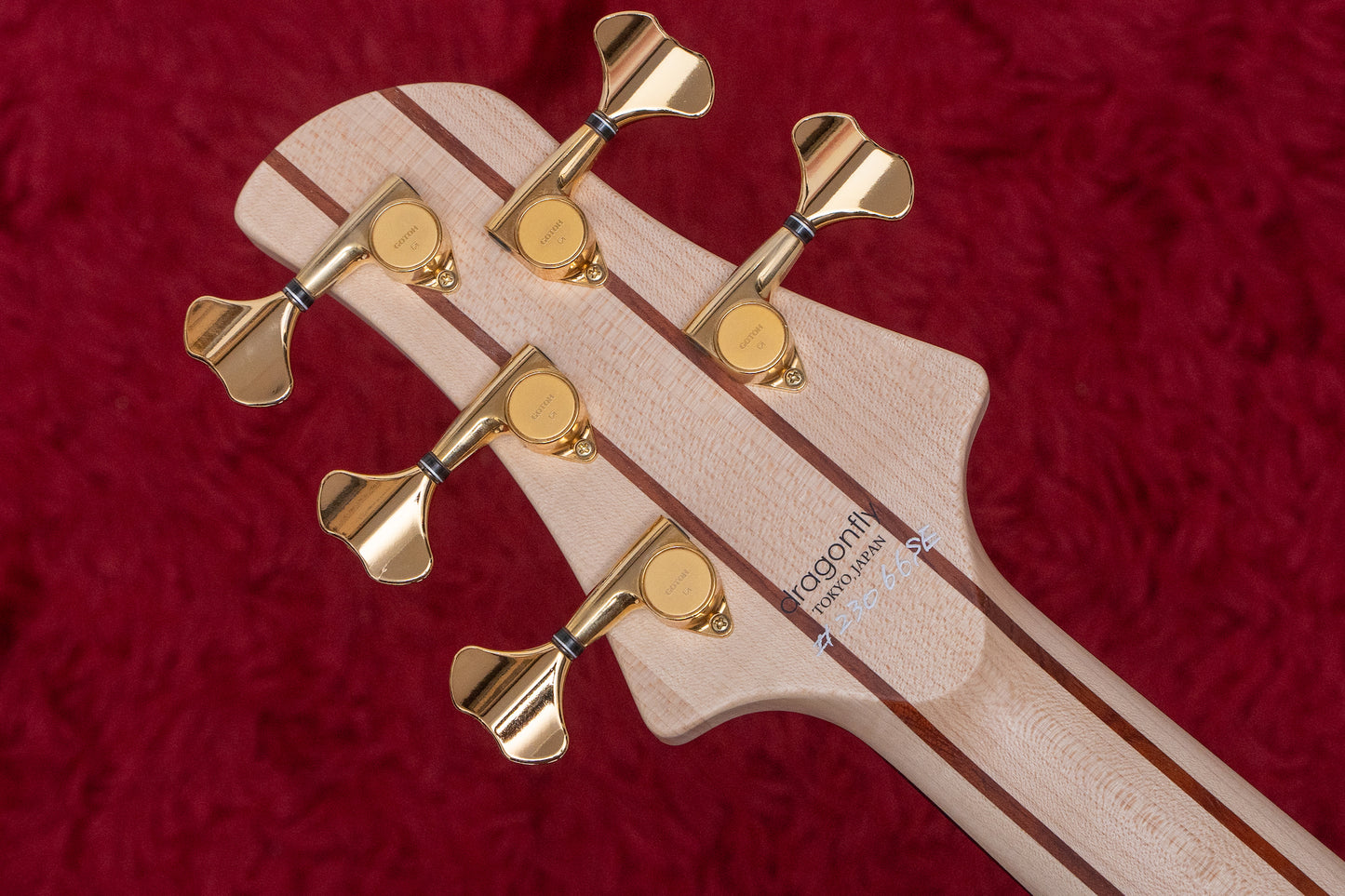 【used】dragonfly / CS5/345 CUSTOM Quilted Maple/Mahogany 2023 4.180㎏ #23066SE【GIB Yokohama】