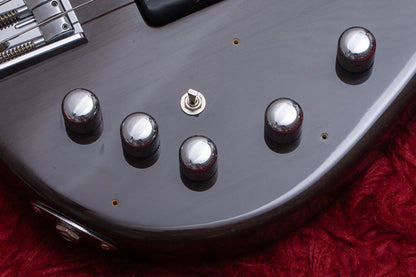 【used】E-II ESP / AP-5 See Thru Black 4.445kg【GIB Yokohama】