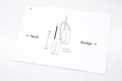 【new】EVERTONE PICKUP / NEWTONE PB4 Class-S set【GIB Yokohama】