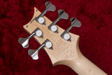 【new】PRS(Paul Reed Smith) / Grainger 5 String Bass 10top 72 4.145kg #372303【GIB Yokohama】