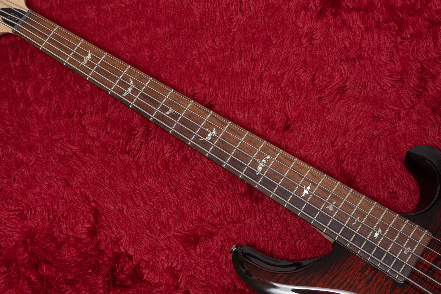 【new】PRS(Paul Reed Smith) / Grainger 5 String Bass 10top 72 4.145kg #372303【GIB Yokohama】