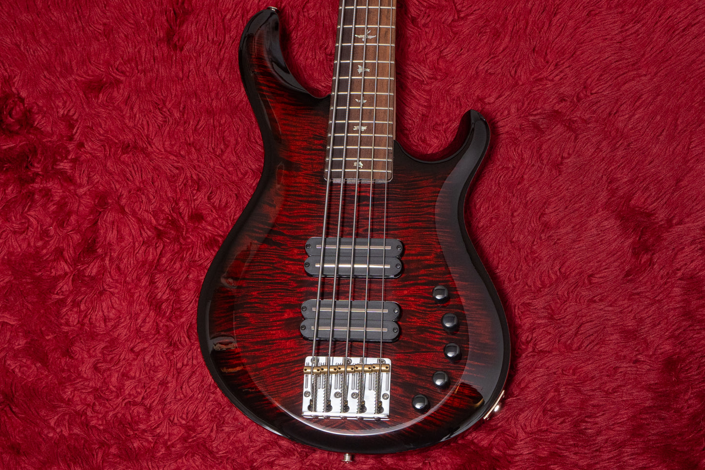 【new】PRS(Paul Reed Smith) / Grainger 5 String Bass 10top 72 4.145kg #372303【GIB Yokohama】