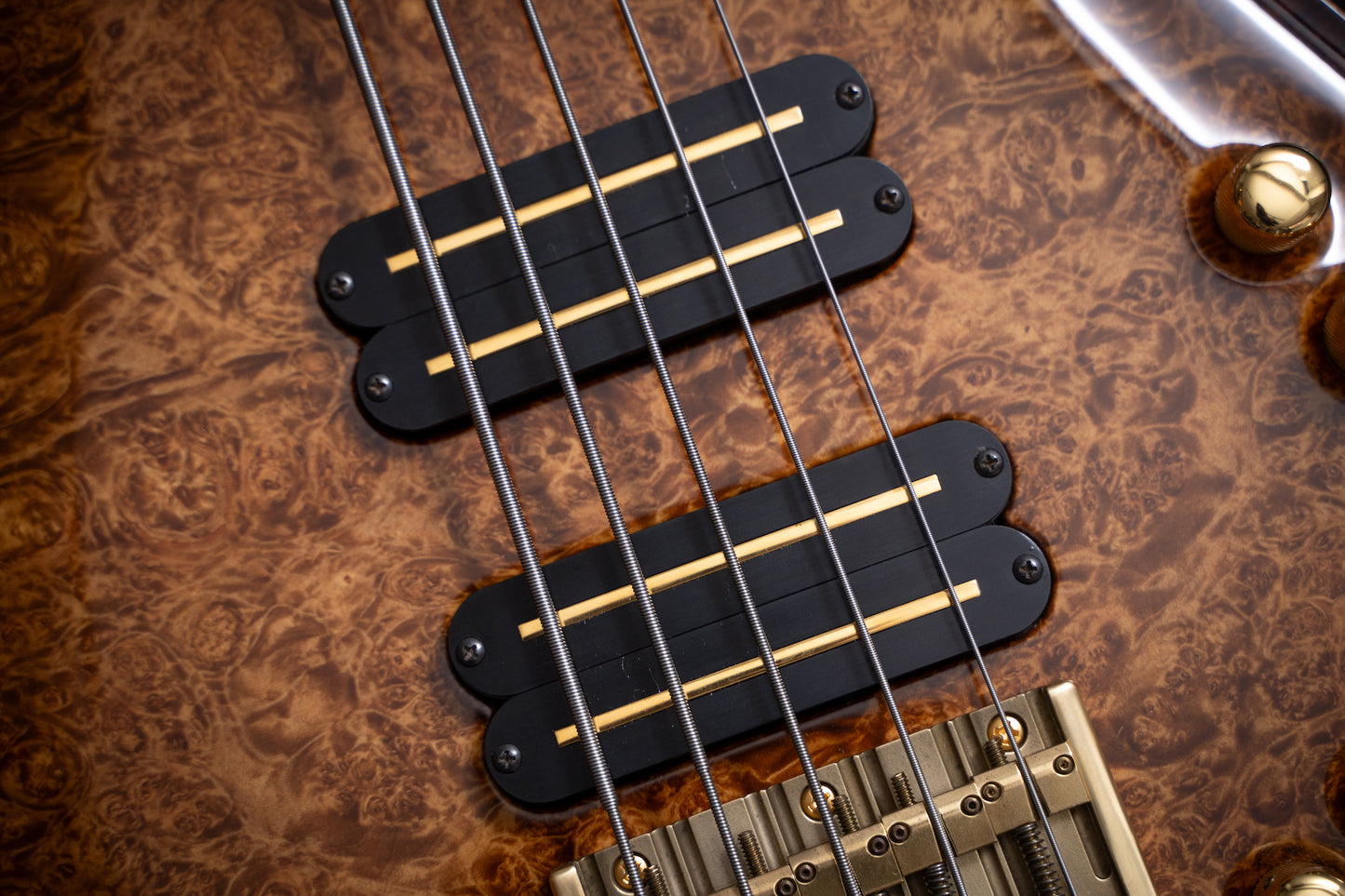 【outlet / NOS】PRS (Paul Reed Smith) / Private Stock GG Bass 5st #3655  #12EB00578【GIB Yokohama】