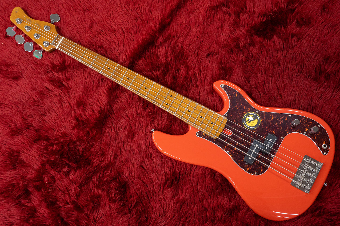 [new] sire / p5 alder-5 drd #2N23500052 4.005kg [Yokohama store]