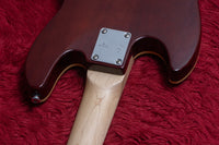 【used】Sire / U5 Alder-4 NT 2024 3.380kg #2N24290278【GIB Yokohama】