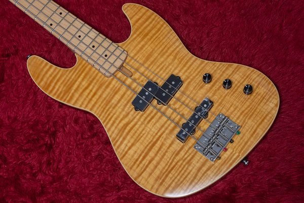 【used】Sire / U5 Alder-4 NT 2024 3.380kg #2N24290278【GIB Yokohama】