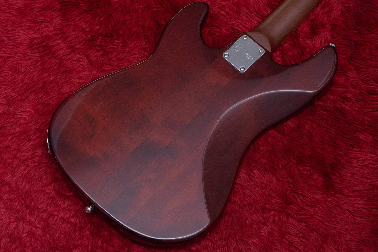 【new】SIRE / D5 Alder-4 TS 3.950kg#2N24280085【GIB Hyogo】