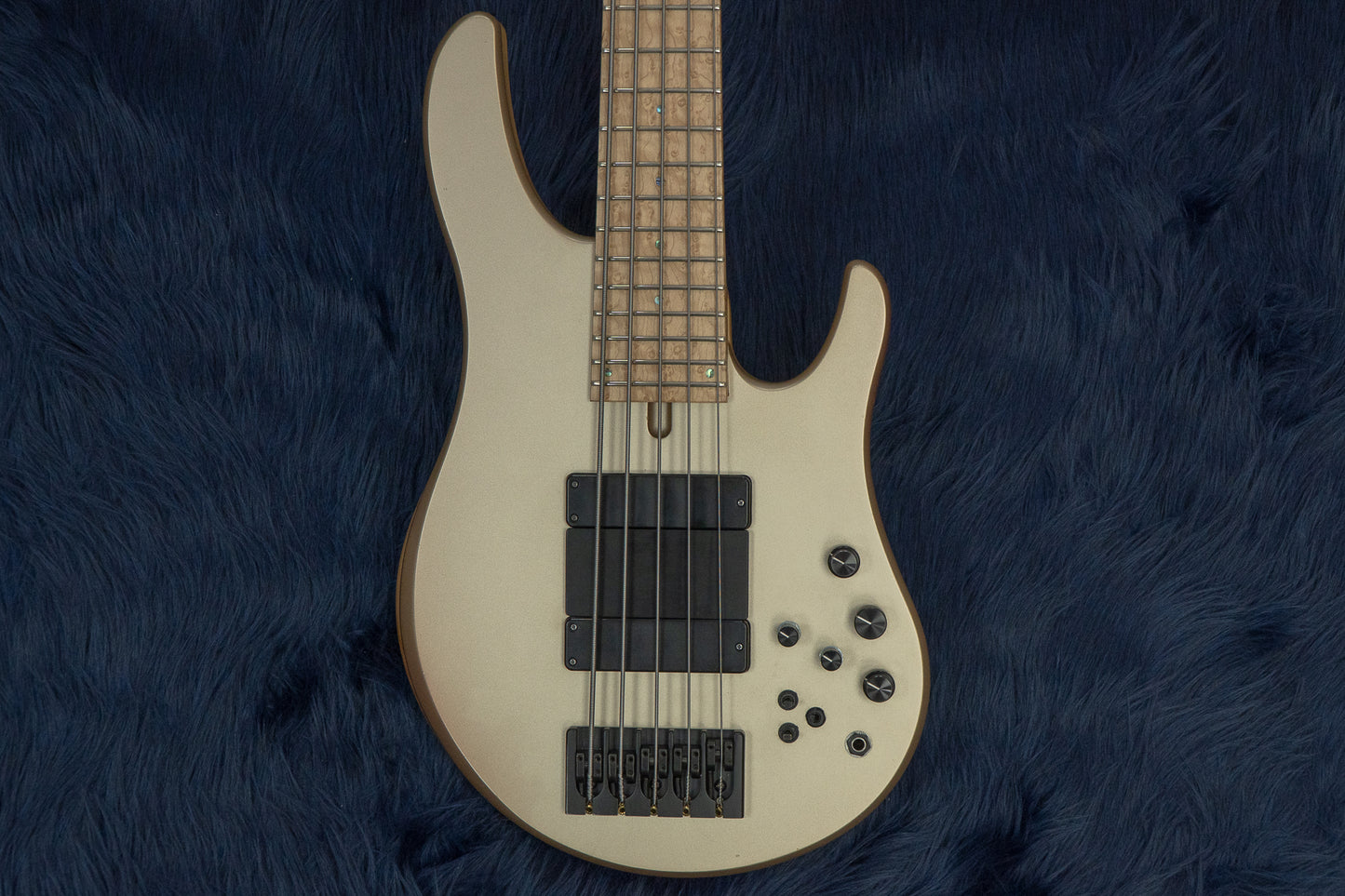 【used】Swan Custom Basses / Alpha Classic 5 3.88kg #AL2202156【GIB Seoul】