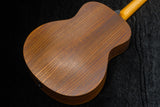 【new】Taylor / GS Mini-e Rosewood LTD #2205164194 1.7kg【TONIQ横浜】