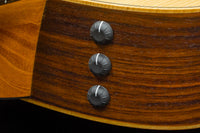 【new】Taylor / GS Mini-e Rosewood LTD #2205164194 1.7kg【TONIQ横浜】