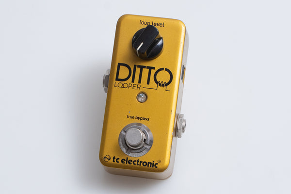 【used】tc electronic / DITTO LOOPER Gold Limited【GIB Yokohama】