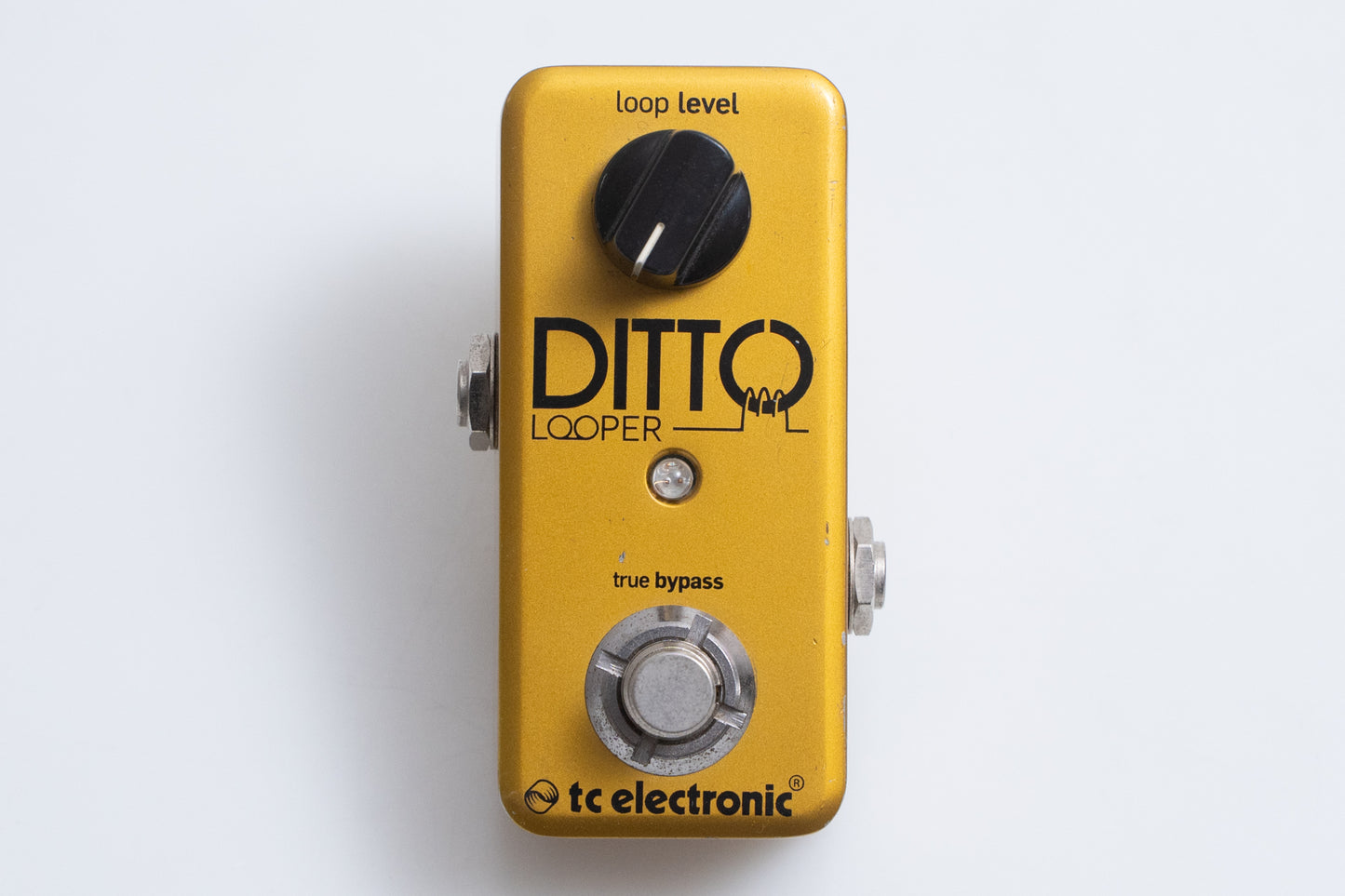 【used】tc electronic / DITTO LOOPER Gold Limited【GIB Yokohama】