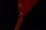 【used】 Gibson / Custom Shop 1967 Flying V #100437 3.41kg【TONIQ横浜】