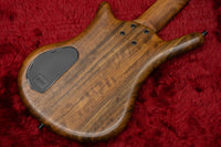 【outlet】Warwick / Team Build PS Thumb Bass BO 5 TS NAT B #GPS H 010439-22 4.485kg【GIB横浜】