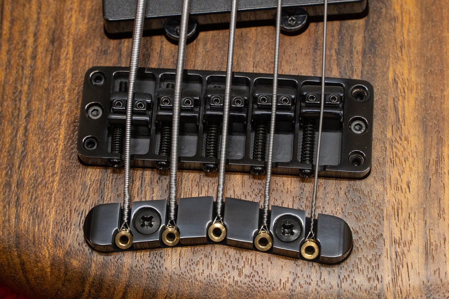 【outlet】Warwick / Team Build PS Thumb Bass BO 5 TS NAT B #J010574-22 4.70kg【GIB Yokohama】