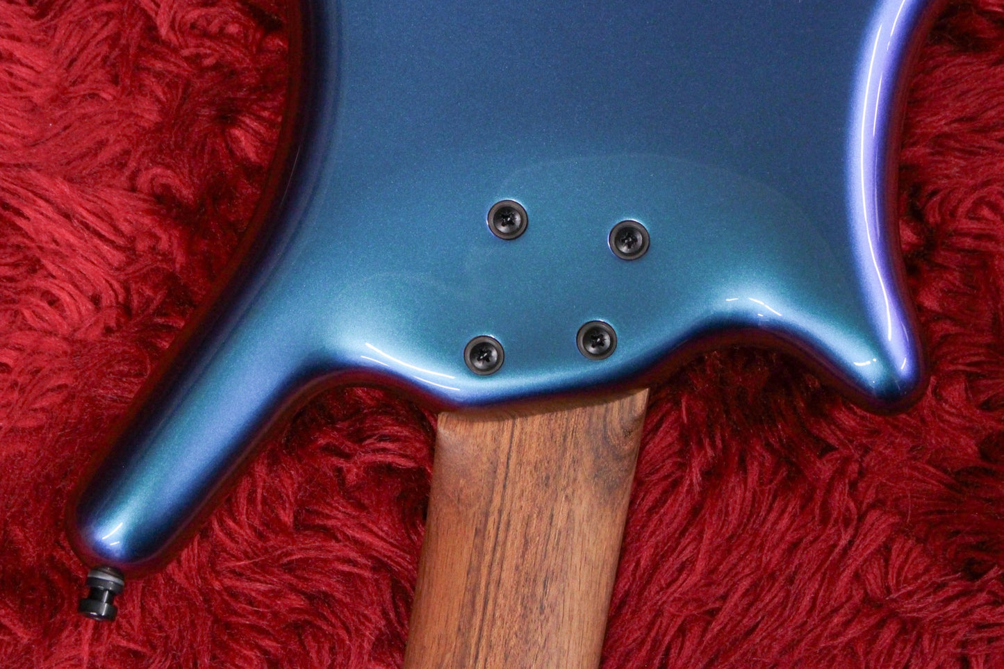 【new】Warwick / Team Build PS Thumb Bass BO5 Special Edition 4.555kg【GIB Yokohama】
