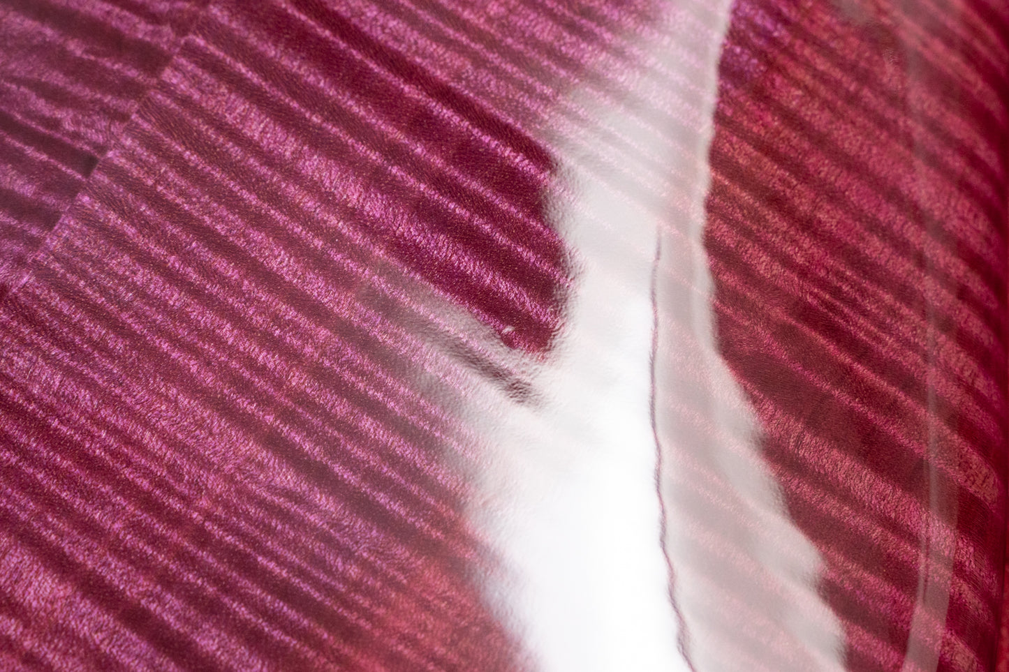 【used】Warwick / CUSTOM SHOP STREAMER LX 5st DARK FRENCH VIOLET 2015 4.460kg #H16146415【GIB Yokohama】