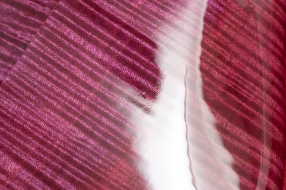 【used】Warwick / CUSTOM SHOP STREAMER LX 5st DARK FRENCH VIOLET 2015 4.460kg #H16146415【GIB Yokohama】