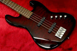 Demonstrate the value only in the heavy ensemble
