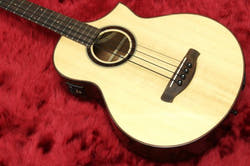 Acoustic style