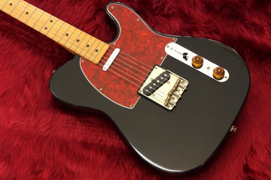 Popular Mexico Squier Series