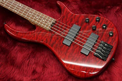 Ideal for lock ensemble