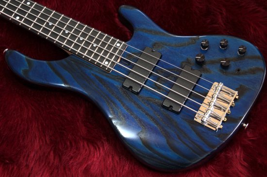 The sophisticated design is excellent on the premise of 24 fret specifications