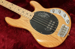 Model with sting tray motif
