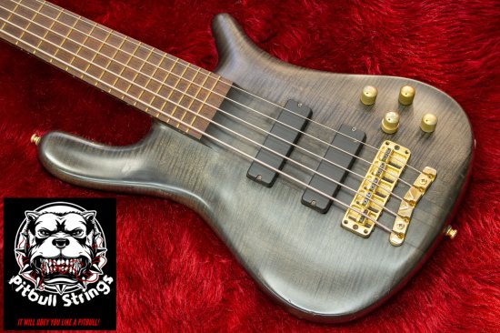 Warwick Streamer Stage i 5st 4.62kg # K-096334-02 