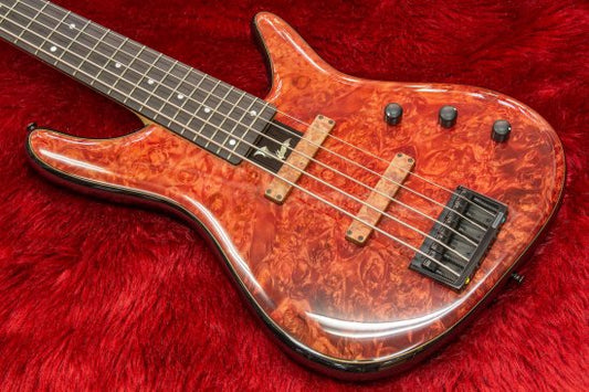 Guitar Maker SUGI Flagship Model Representing Japan