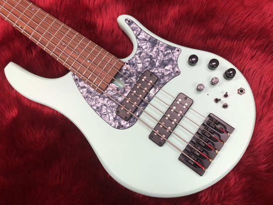 [New] SWAN Custom Basses Alpha Classic 5 String Aqua Marine