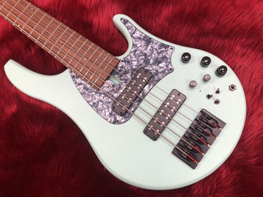 [New] SWAN Custom Basses Alpha Classic 5 String Aqua Marine