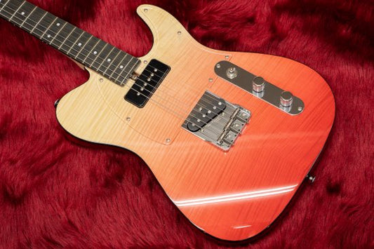 Modern guitar of Bakkas producing high quality guitar / base