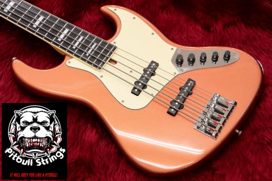 The original BLACK BIRD is installed in the preamp