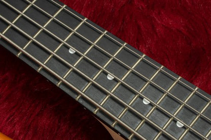 [NEW] Woofy Basses Poodle5 Honey Sunburst [Hyogo store]