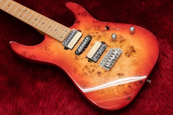 [NEW] BACCHUS / IMPERIAL24-BP-RSM / M RD-B [Yokohama store]