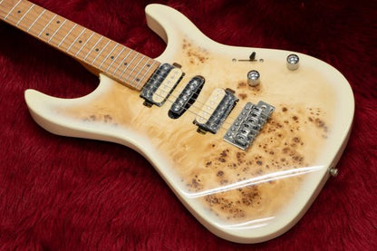 [NEW] BACCHUS / IMPERIAL24-BP-RSM / M BD-B [Hyogo store]