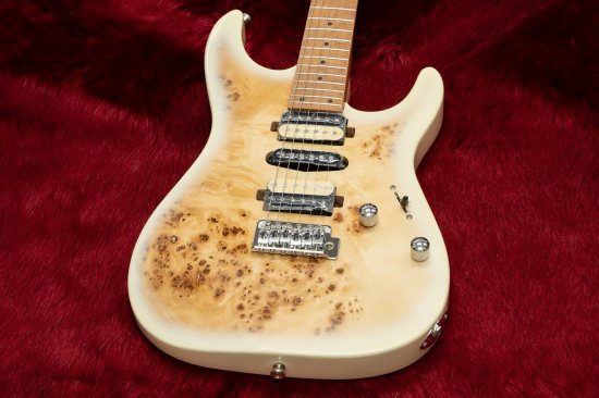 [NEW] BACCHUS / IMPERIAL24-BP-RSM / M BD-B [Hyogo store]