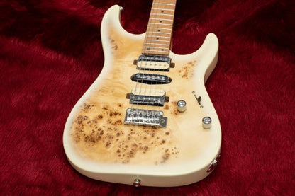 [NEW] BACCHUS / IMPERIAL24-BP-RSM / M BD-B [Hyogo store]