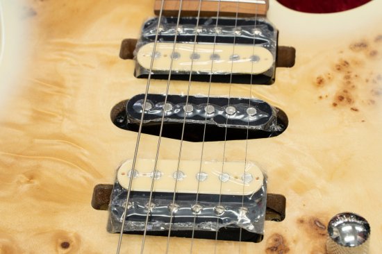 [NEW] BACCHUS / IMPERIAL24-BP-RSM / M BD-B [Hyogo store]