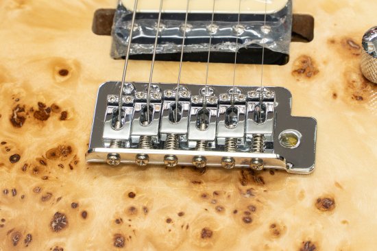 [NEW] BACCHUS / IMPERIAL24-BP-RSM / M BD-B [Hyogo store]