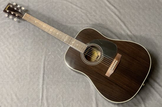 Acoustic guitar brand based in Nagano Prefecture