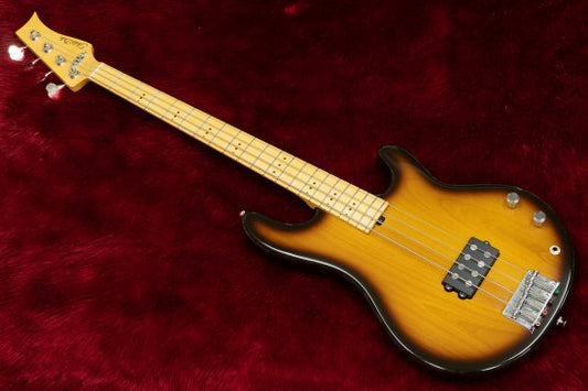 Impression that I was rebuilding stingray correctly